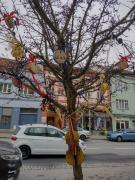 ZUŠkový strom